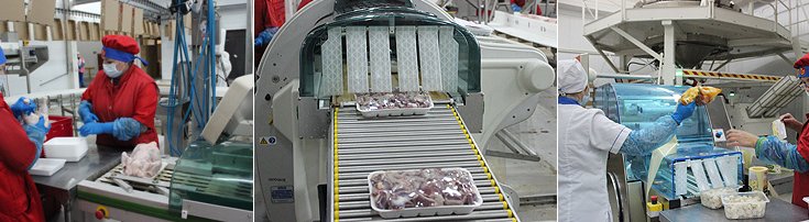 На каждом этапе производства на «Новосибирской птицефабрике» осуществляется контроль качества и безопасности выпускаемых продуктов