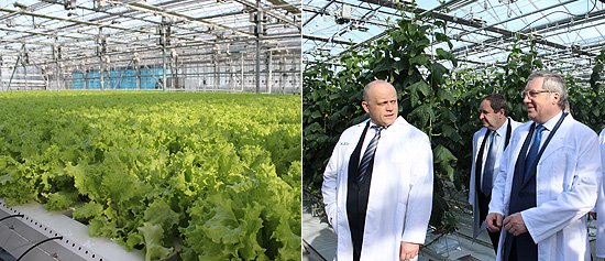 Экологически чистая и безопасная продукция местного производства отличается  высоким качеством, отменным вкусом и разумной ценой