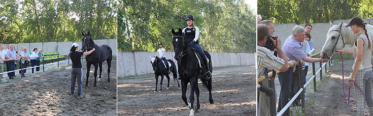 На Барнаульском ипподроме