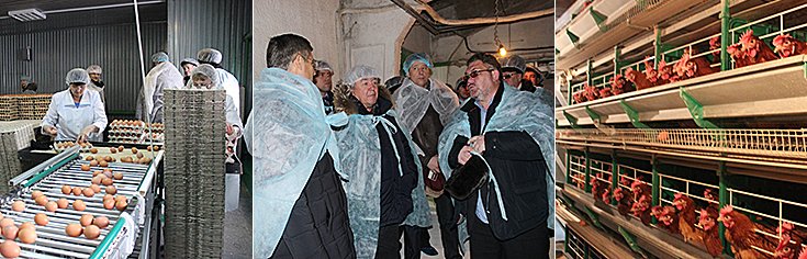 На птицефабрике «Посевнинская»