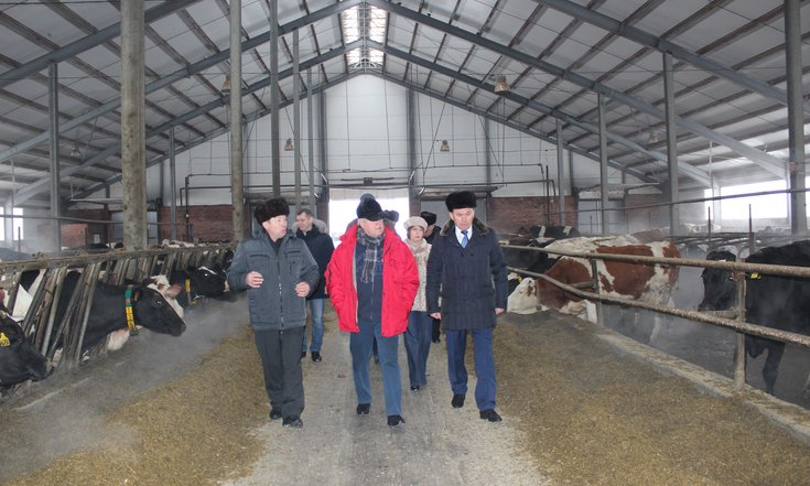 В ходе осмотра площадки круглогодичного содержания скота ООО "Сибирская Нива"