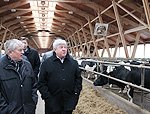 Николай Рогожкин посетил ЗАО «Агрофирма «Лебедевское» в Искитимском районе Новосибирской области