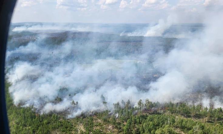 Фото пресс-службы губернатора Томской области