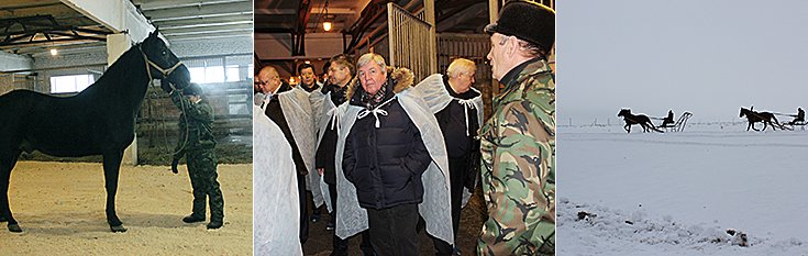 В ходе посещения племзавода в Черепановском районе