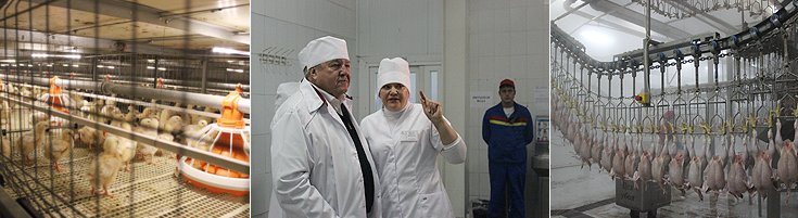 Использование в производстве современного оборудования и технологий создают все необходимые условия для успешной работы агрокомплекса и эффективного решения задачи импортозамещения в сельском хозяйстве – полпред