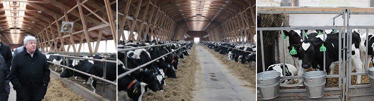 Полномочный представитель посетил животноводческий комплекс ЗАО «Агрофирма «Лебедевская»