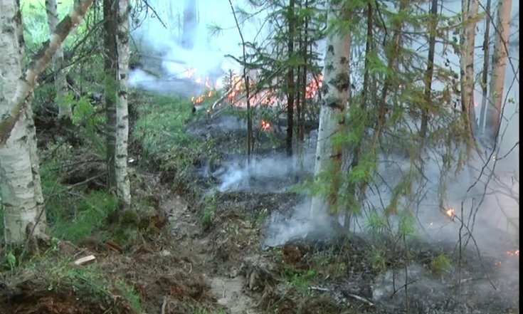 Фотография пресс-службы правительства Томской области